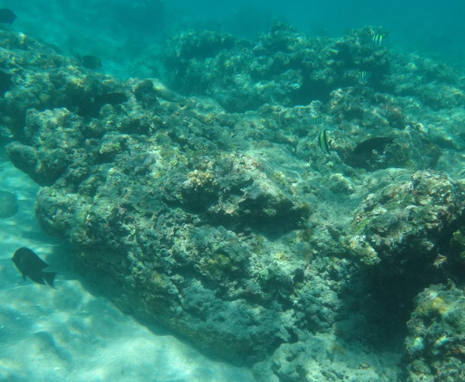 Wera Beach Kadumbul Εξωτερικό φωτογραφία