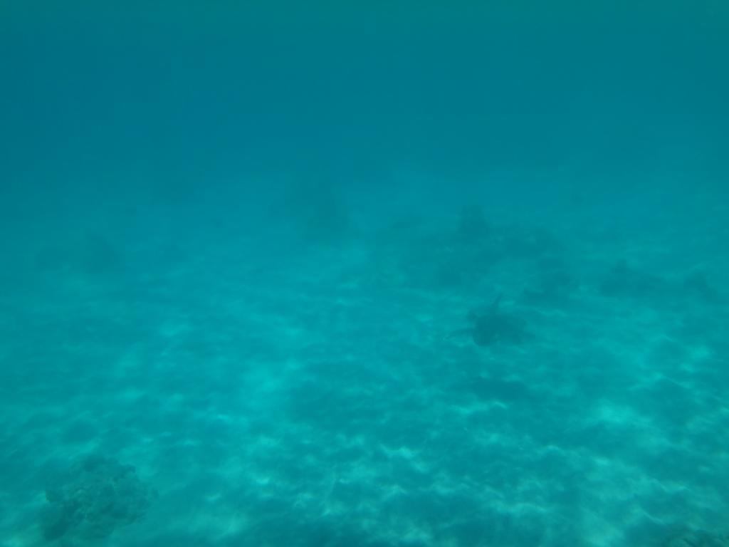 Wera Beach Kadumbul Εξωτερικό φωτογραφία