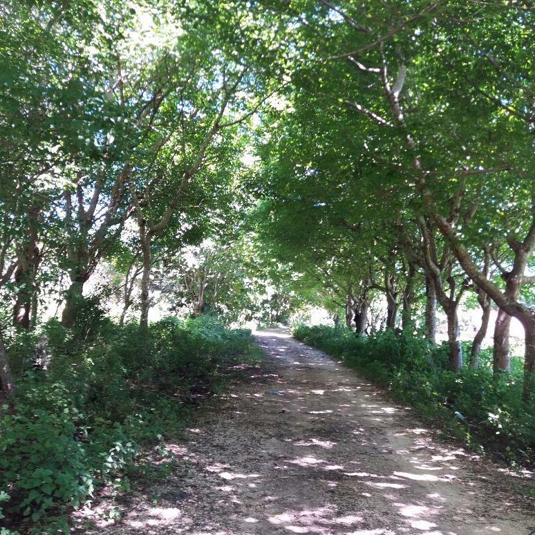 Wera Beach Kadumbul Εξωτερικό φωτογραφία