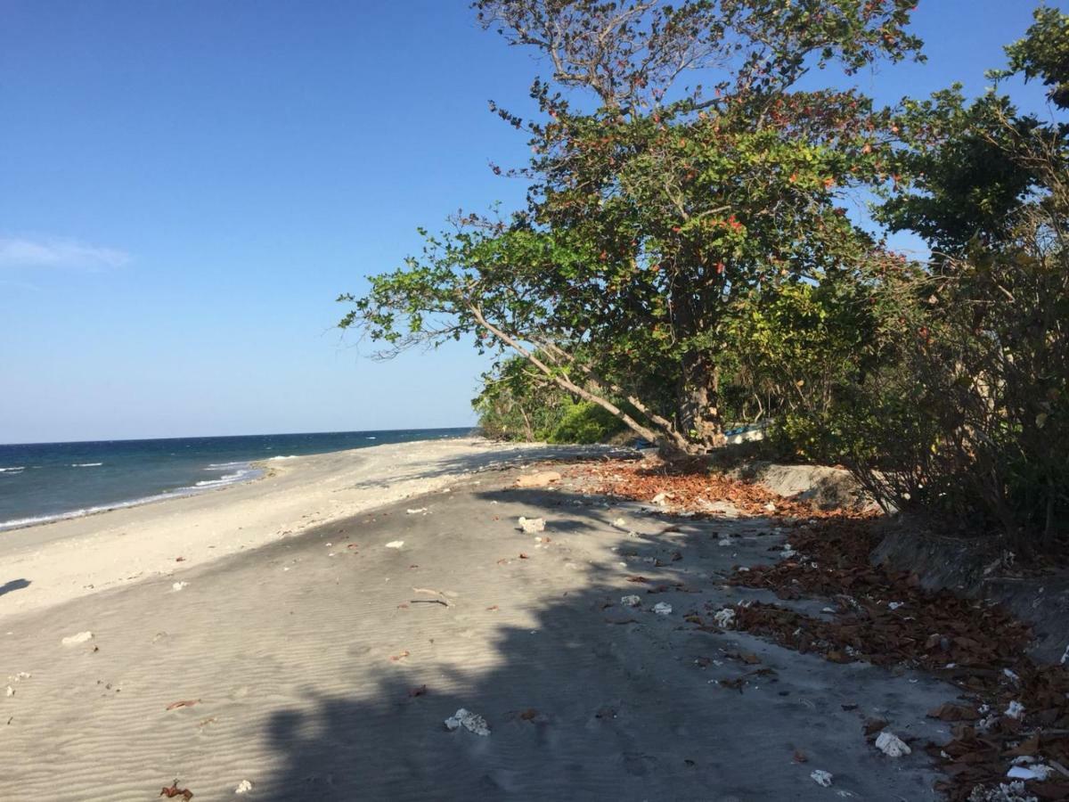 Wera Beach Kadumbul Εξωτερικό φωτογραφία